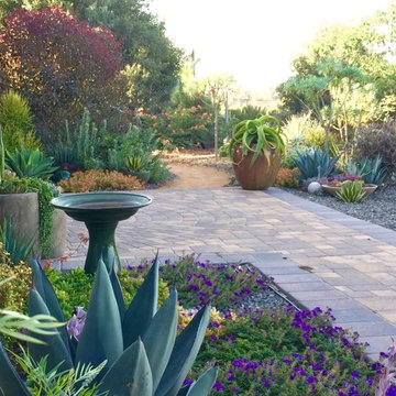 Southern California Garden