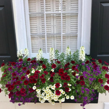 Southern Window Boxes