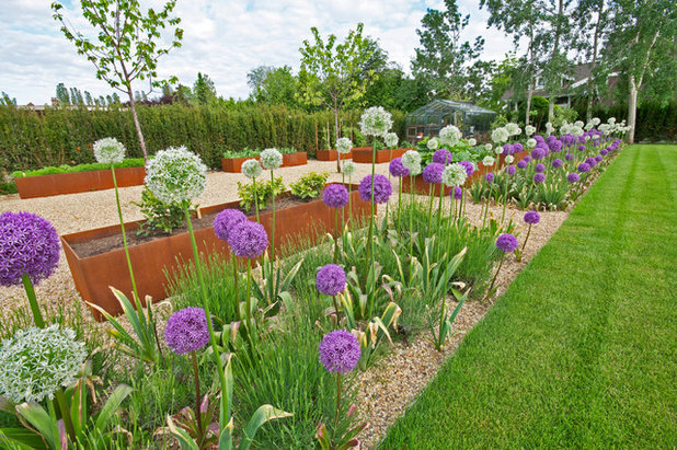 Contemporary Garden by Botanica Design