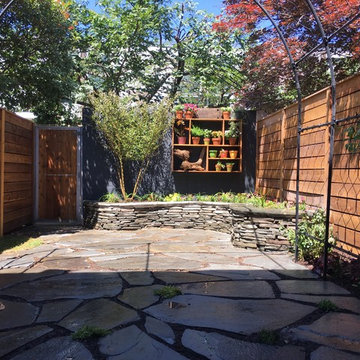 Southwest DC Back Garden Makeover