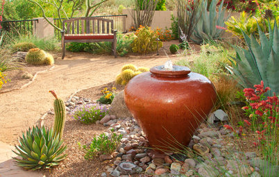 Get the Look: Southwestern Desert Garden Style