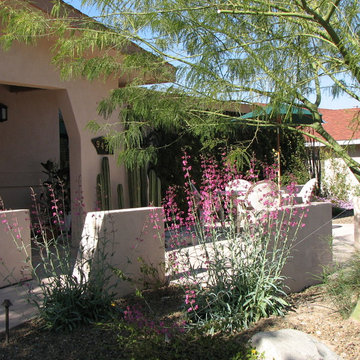 Southwestern Landscape Design and Installation