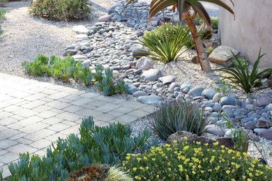 Inspiration for a large southwestern backyard landscaping in San Diego.