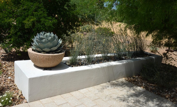 Southwestern Landscape by Noelle Johnson Landscape Consulting