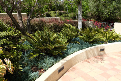 サンディエゴにあるエクレクティックスタイルのおしゃれな庭の写真