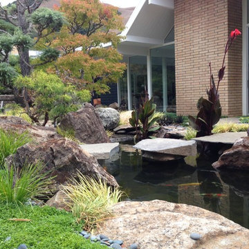 Special Features - Koi Pond
