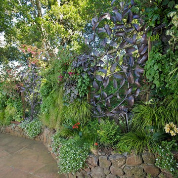 Special Features - Living Wall