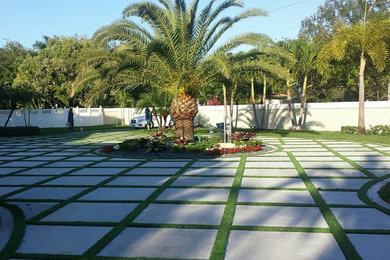 Großer, Halbschattiger Moderner Garten im Frühling mit Auffahrt und Betonboden in Tampa