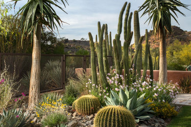 Photo of a modern landscaping in Phoenix.
