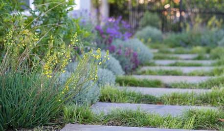 8 Drought-Sensitive Ways to Start a Garden