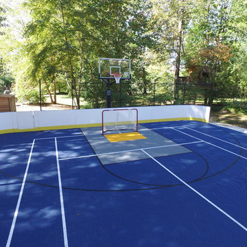 Sport Court Backyard Hockey