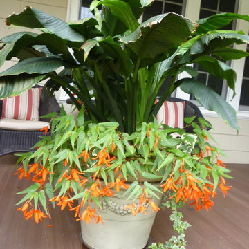 Spring and Summer Container Design
