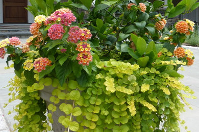 Foto di un grande giardino tradizionale in estate con un giardino in vaso