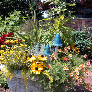 Spring & Summer Containers