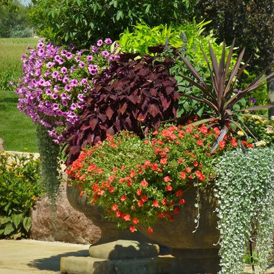 Photo of a small traditional full sun backyard landscaping in Chicago for summer.