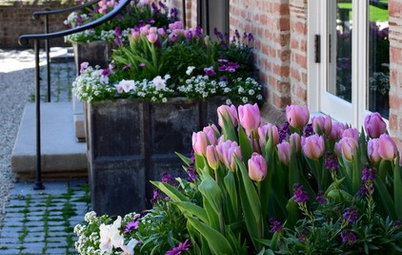10 Pretty Container Gardens in Pastel Hues