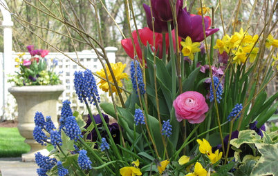 12 Stunning Spring Container Gardens