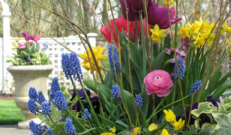 12 Stunning Spring Container Gardens