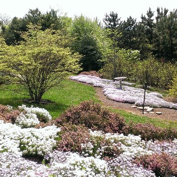 Spring blooming Candytuft & creeping Phlox in estate sized  landscaping pictures