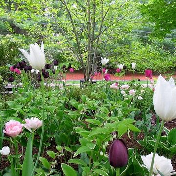Spring Bulb Designs