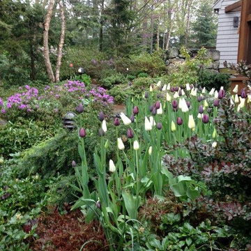Spring Bulb Designs
