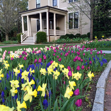Spring Bulb Designs