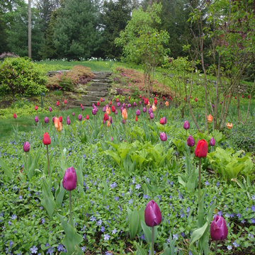 Spring Bulb Designs