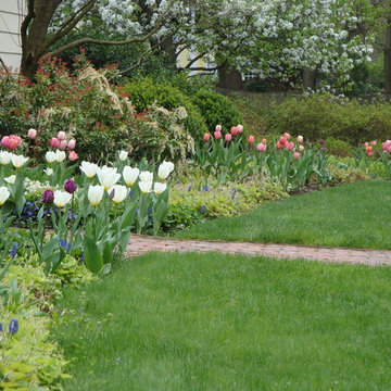 Spring Bulb Designs