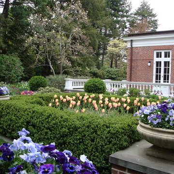 Spring Bulb Designs