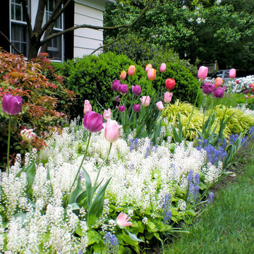 Spring Bulb Designs