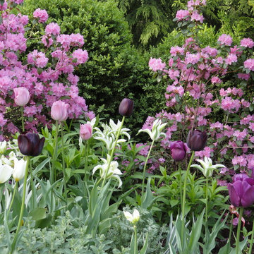 Spring Bulb Designs