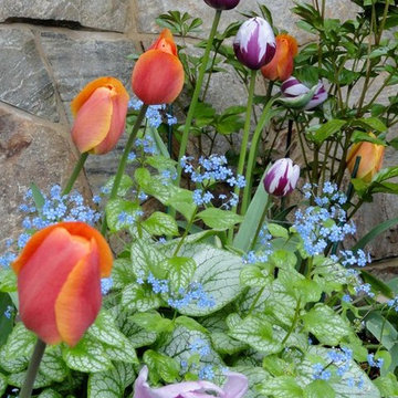 Spring Bulb Designs