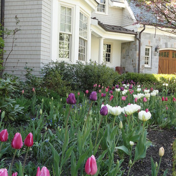 Spring Bulb Designs