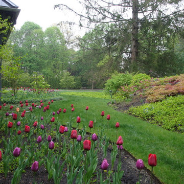 Spring Bulb Designs