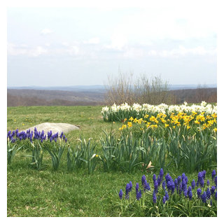 Spring Bulb Display - Contemporary - Landscape - New York - by Hortulus ...