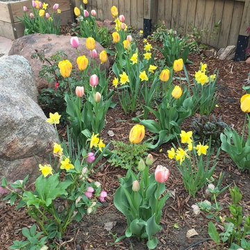 Spring Bulb Gardens