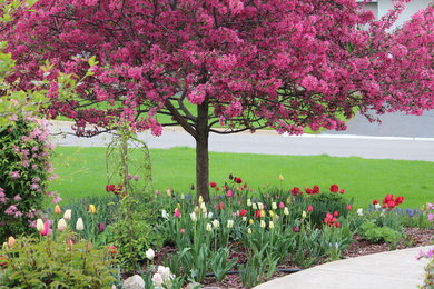 Photo of a full sun front yard landscaping in Minneapolis for spring.