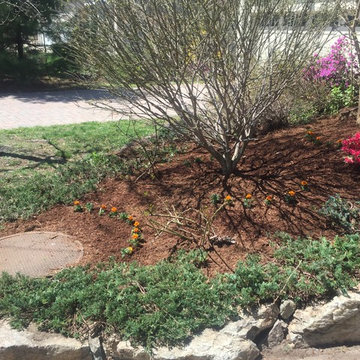 Spring clean up and mulch