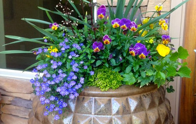 14 Colorful Spring Containers to Cheer Up Your Porch or Garden