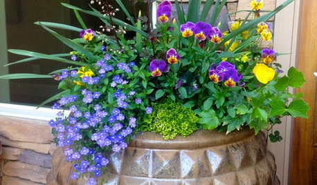 14 Colorful Spring Containers to Cheer Up Your Porch or Garden