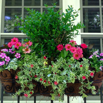Spring Container Planting