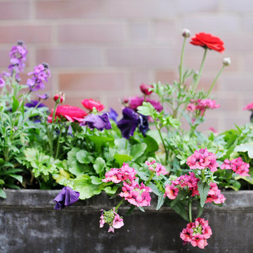 Spring Containers & Landscapes