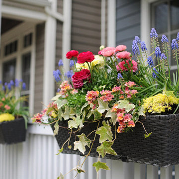 Spring Containers & Landscapes