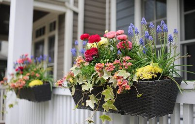 10 Ways to Make the Most of Your Garden This Spring