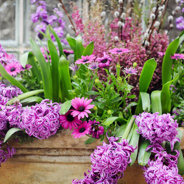 Spring Containers & Landscapes