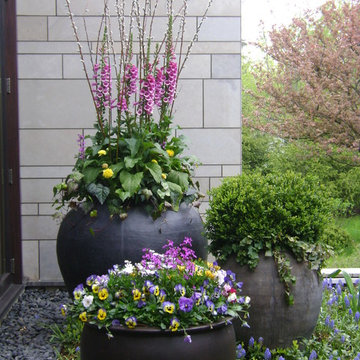 Spring Flower Containers & Annual Display