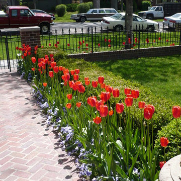 Spring in the garden