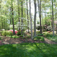 backyard landscaping