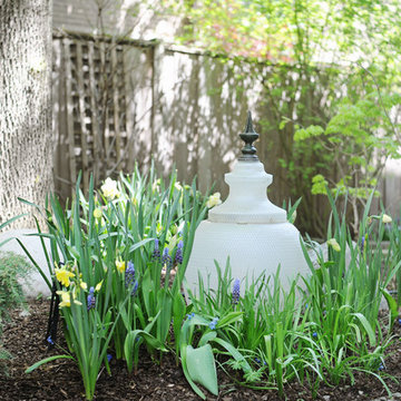 Spring Landscape Bulbs