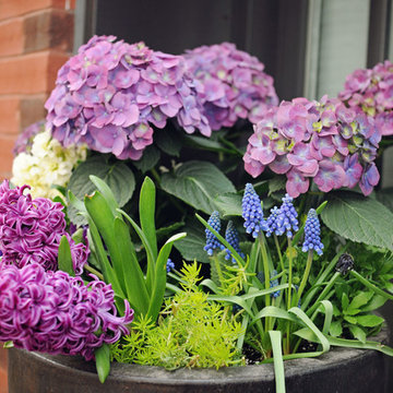 Spring planters